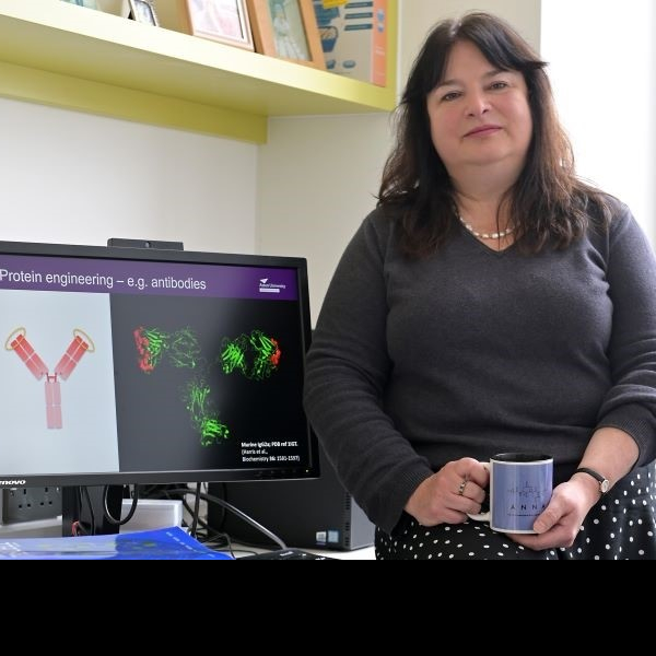 Prof Anna Hine